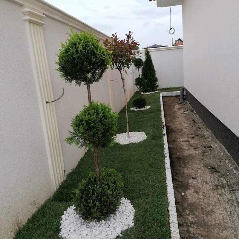 Lider Royal Garden - proiectare, amenajare si intretinere gradini